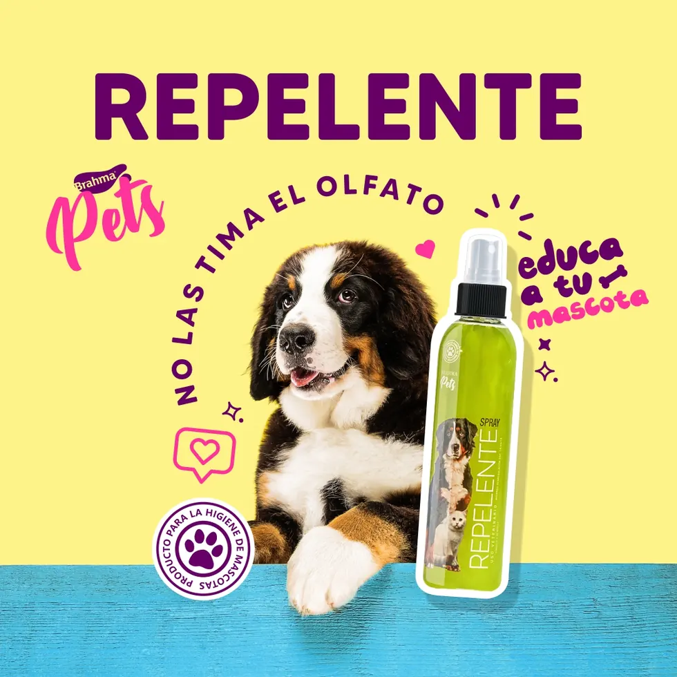Trabajo de Merca Gráfica para Brahma Pets