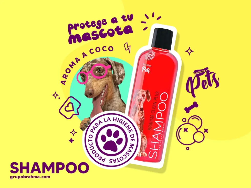 Trabajo de Merca Gráfica para Brahma Pets