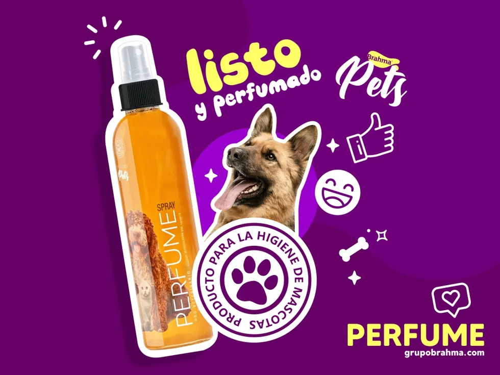 Trabajo de Merca Gráfica para Brahma Pets