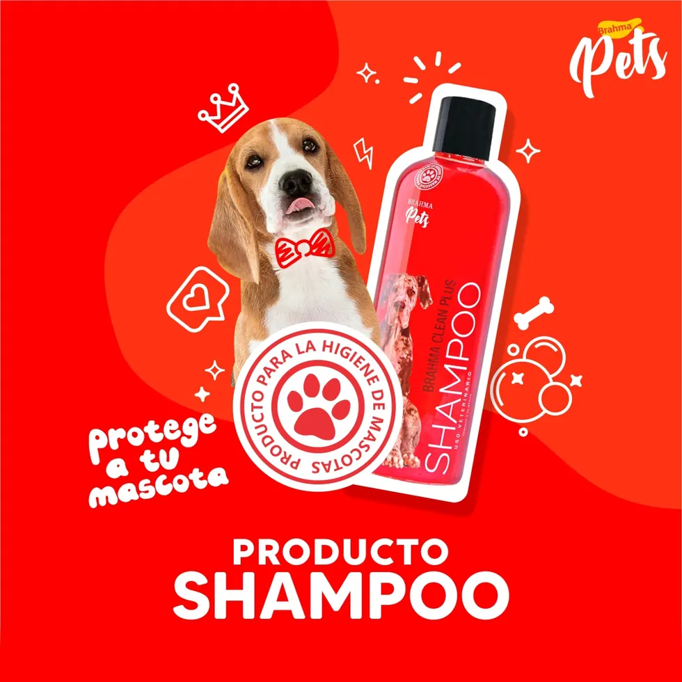 Trabajo de Merca Gráfica para Brahma Pets