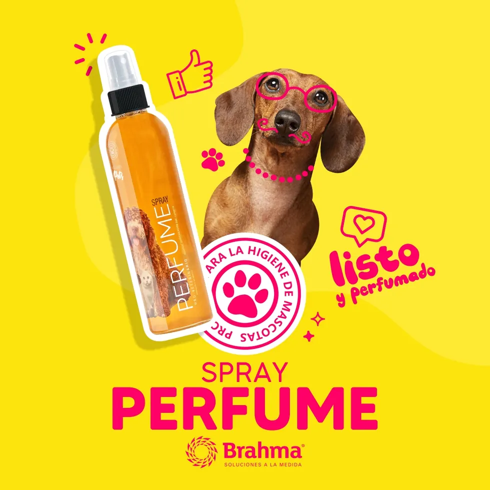 Trabajo de Merca Gráfica para Brahma Pets